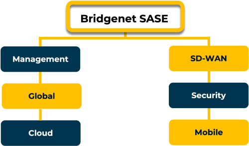 8. SASE Journey_Diagram 3